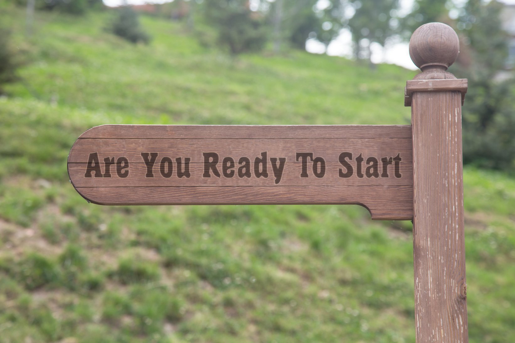 are you ready to start text wooden sign with a forest background. wooden direction sign